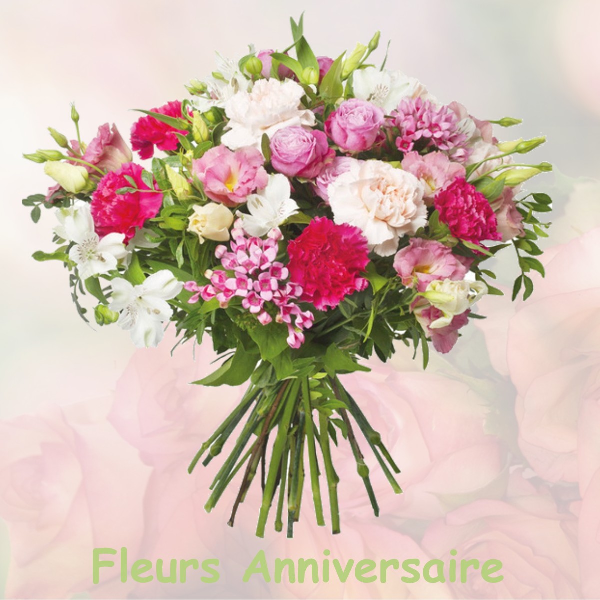 fleurs anniversaire MONTAGNY-PRES-LOUHANS